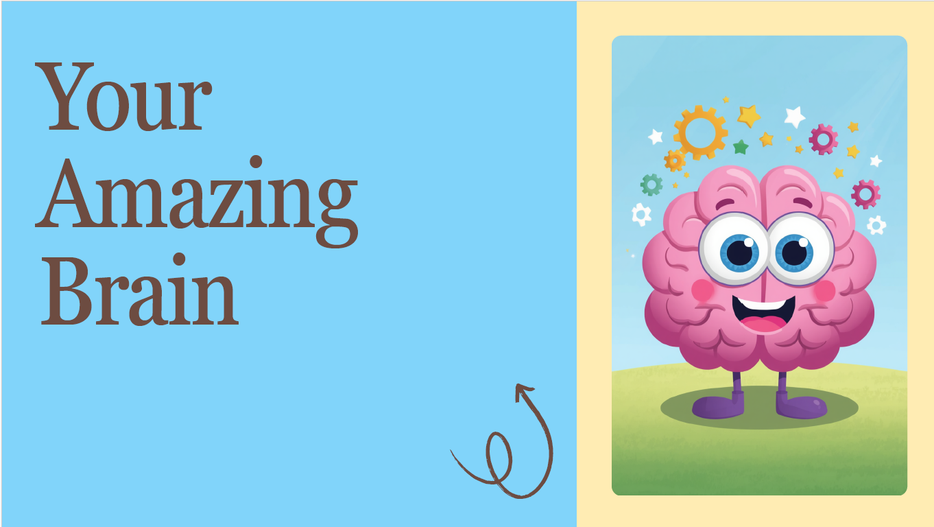 Your Amazing Brain